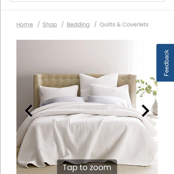 Company Store: Legends Paloma Cotton Velvet Quilt - Picture 2 of 7